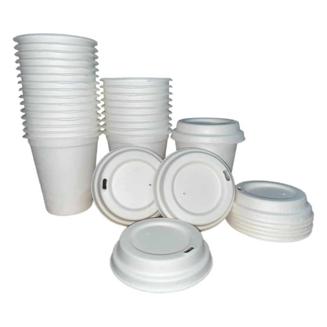 H&Co 100% Biodegradable Hot Cups with Compostable Lids | Eco-Friendly Disposable Bagassee Paper Cups | Microwave Safe | (25 Count, 8 Oz)