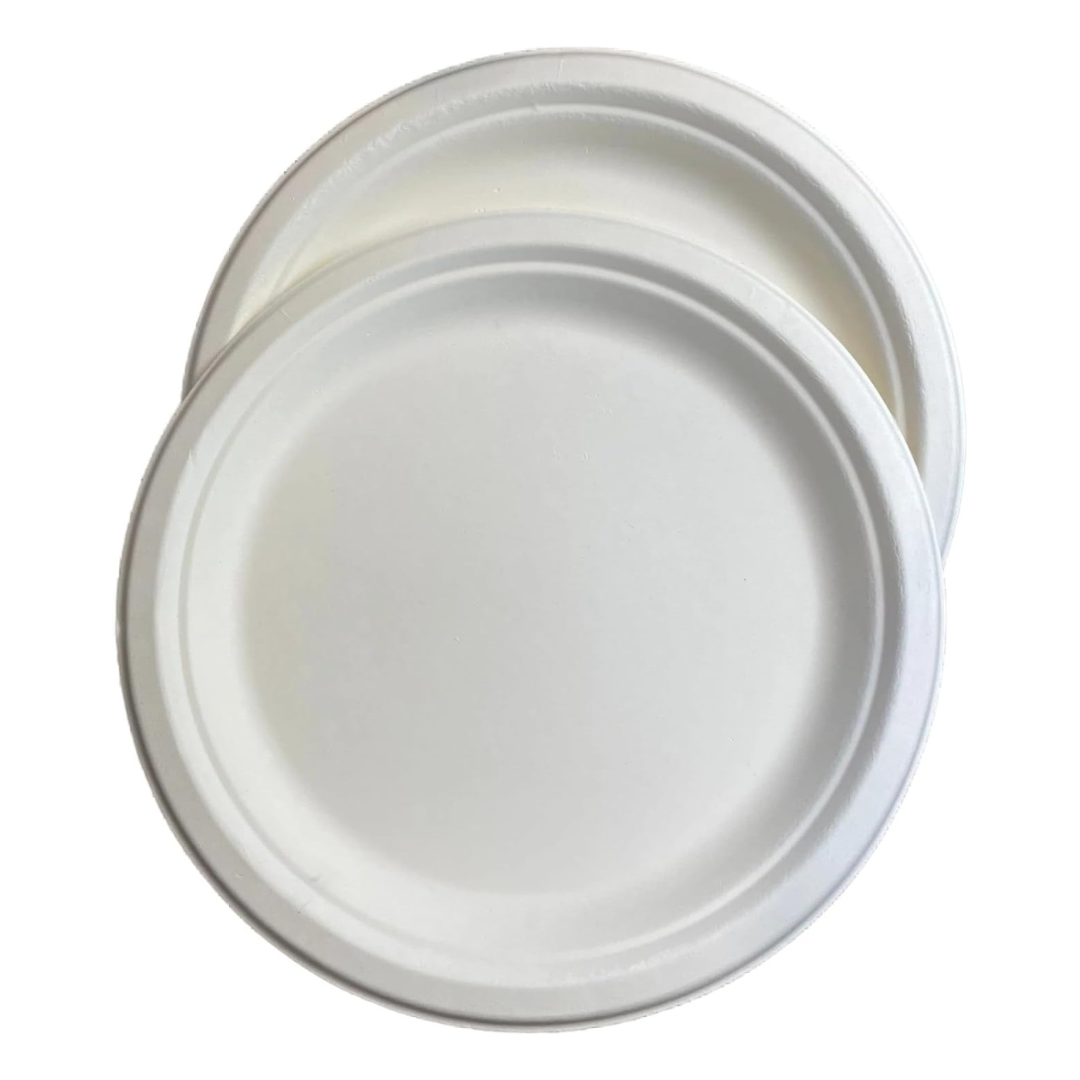H&Co Disposable Bamboo Bagasse Plates, 25 Pack, 10 Inch, for Hot or Cold Use