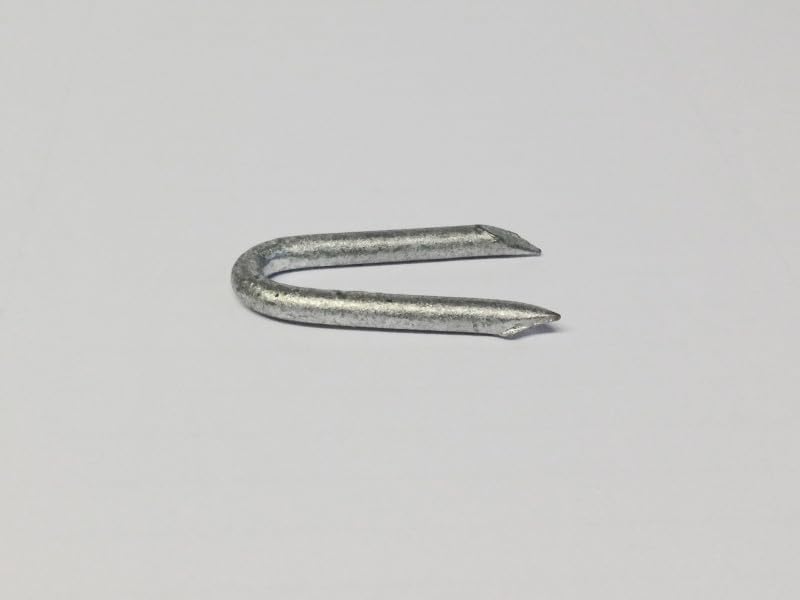 Diall Galvanised Fencing Staples, 4mm x 40mm, 1 kg Pack