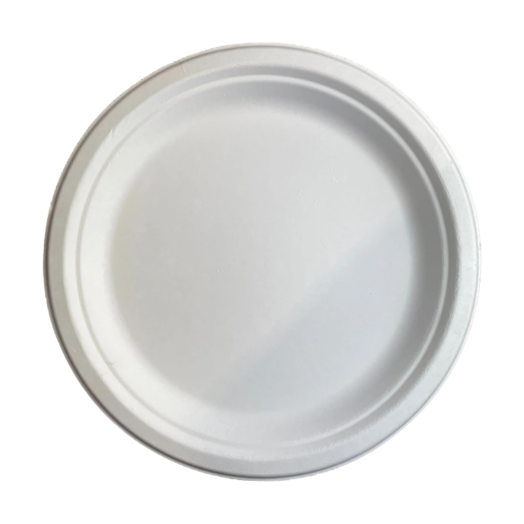 H&Co Disposable Bamboo Bagasse Plates, 25 Pack, 10 Inch, for Hot or Cold Use