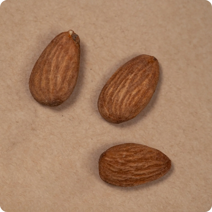 Abu Auf Roasted and Salted Almonds 50gm Pack